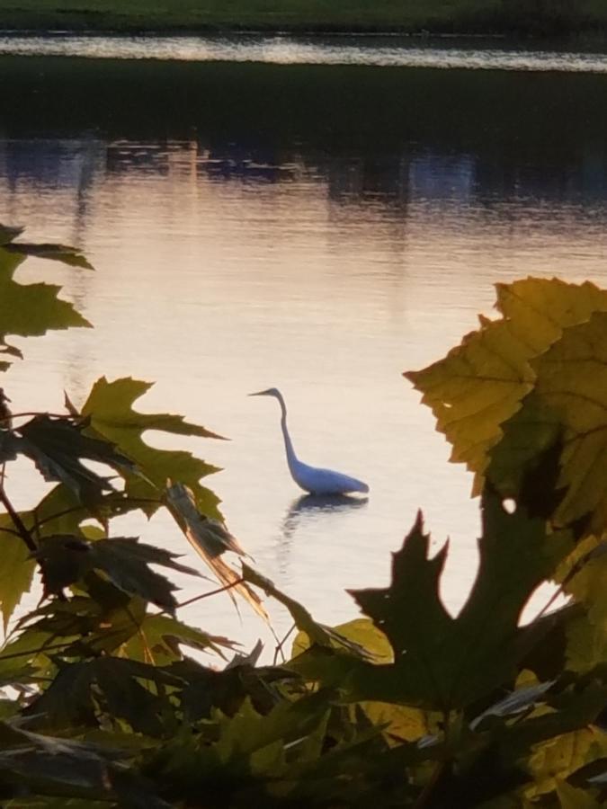 Relax Inn Hendersonville Bagian luar foto